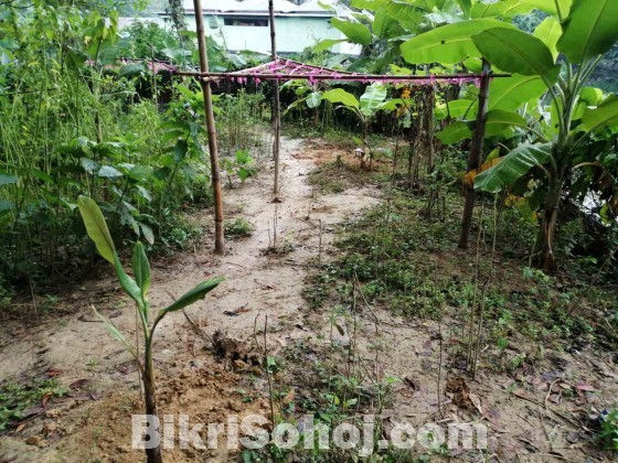 গাজীপুর এ ৩.৫ শতাংশ নির্ভেজাল জমি (বাড়ি করার উপযোগী)